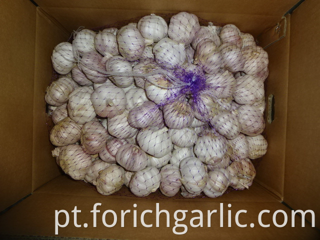Fresh Garlic Jinxiang